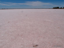 Coorong National park  - Australie
